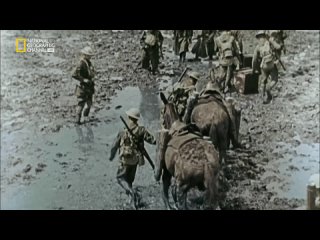 apocalypse the first world war 4 mp4